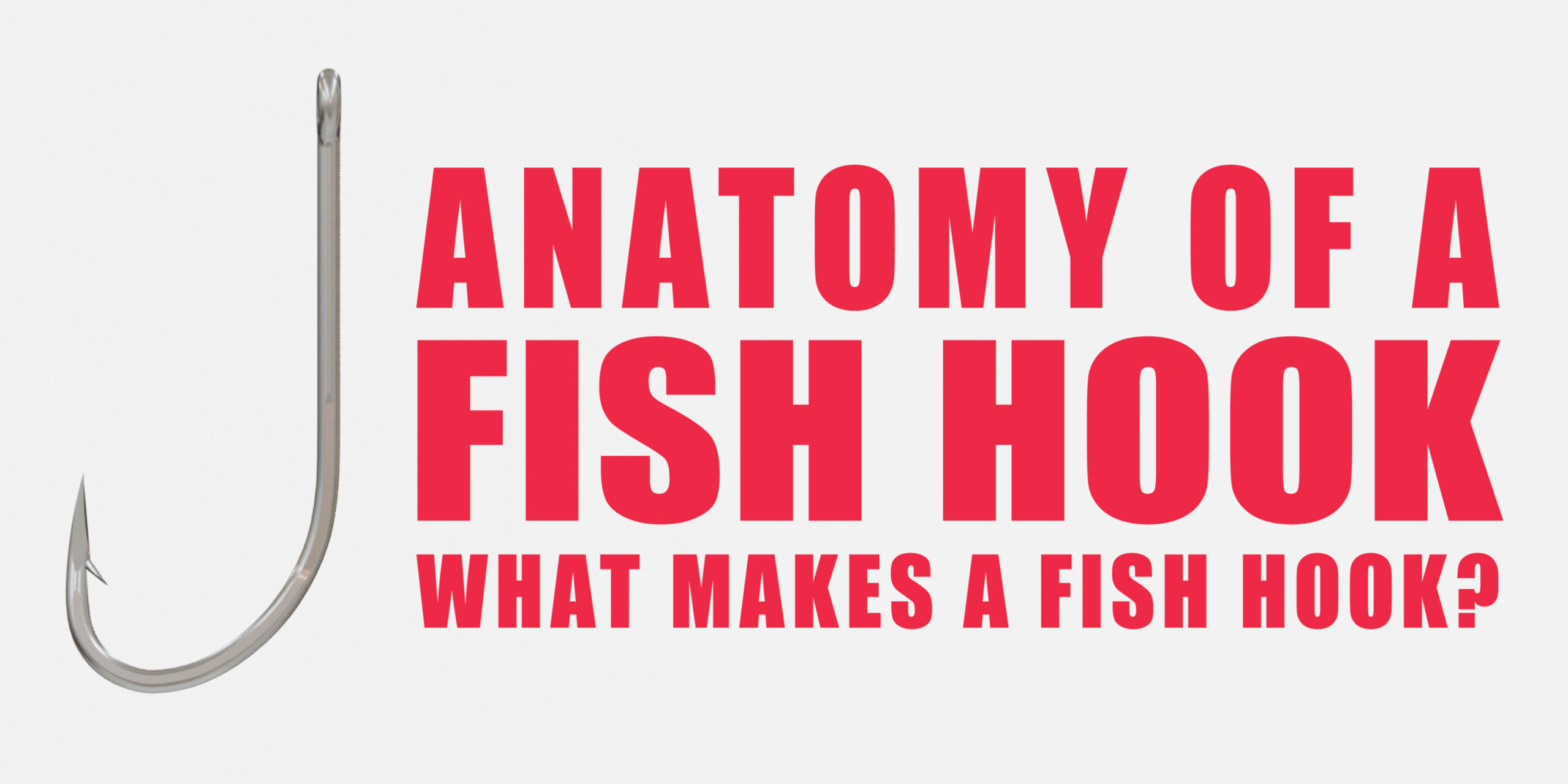 Anatomy of a fish hook What makes a Fish Hook