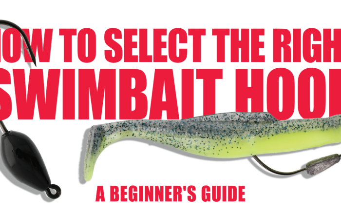 How to Select the Right SwimBait Hook- A Beginner's Guide