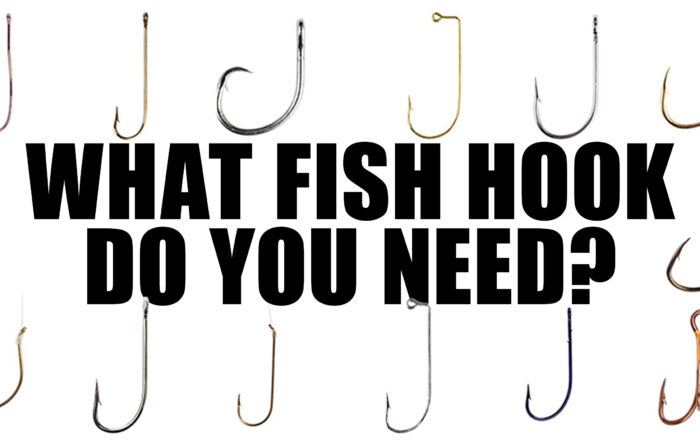 What Fish Hook Do You NeedAll the styles of fish hooks.